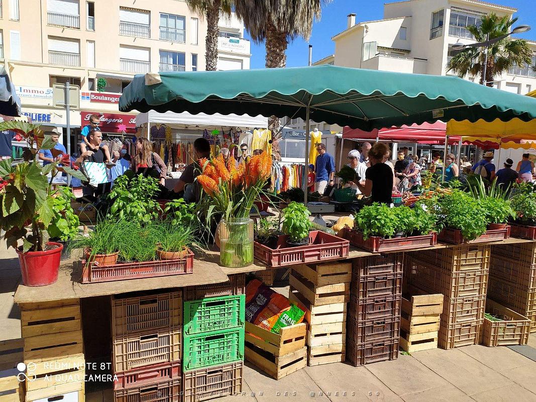 Le Cap d'Agde- Place du Barbecue- 6 juin 2020 - 26.jpg